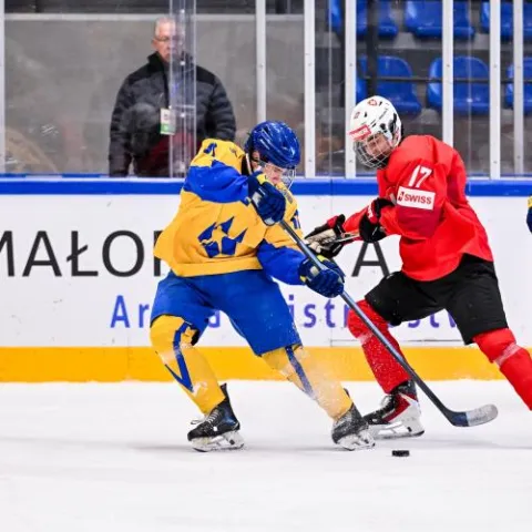 Maksym Vershetskyi