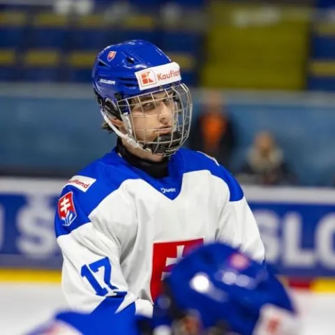 Dusan Dobis