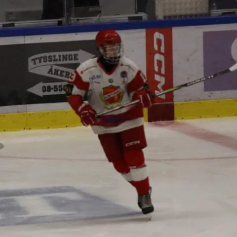 Vincent Edlund Ahl