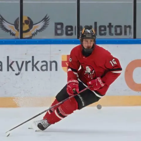 Robin Nilsson