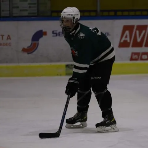 Miroslav Augustin