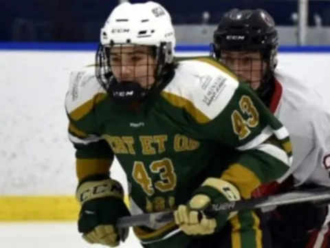 Trophes Rseq Gabriel Roy - Stats, Contract, Salary & More