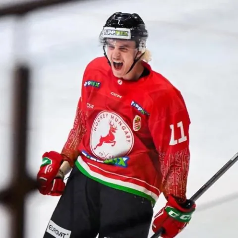Nátán Vertes