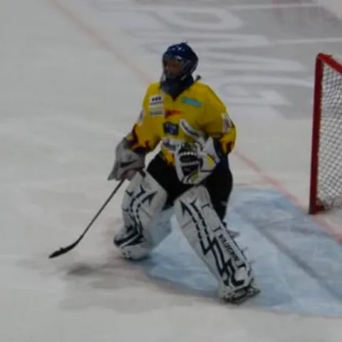 Fredrik H Bråthen