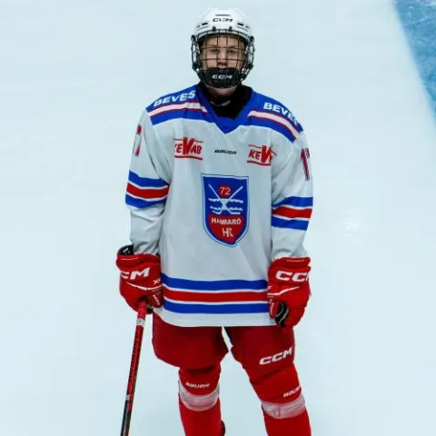 Wilhelm Johansson