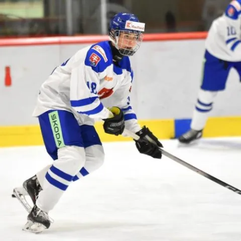 Lukas Lapin