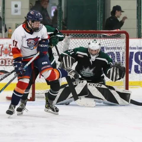 Ashlyn Cottreau