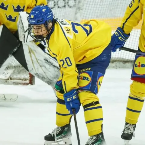 Mikael Kim