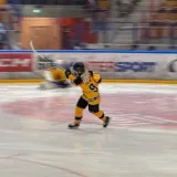 Niva Hellin