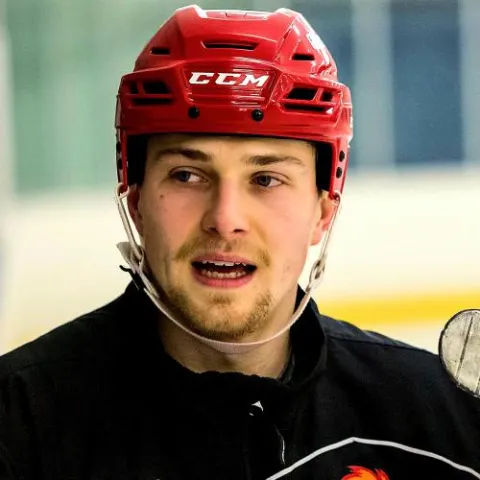 David Minárik